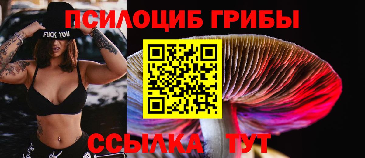 Галлюциногенные грибы мухоморы Баксан
