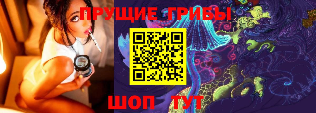 магазин продажи наркотиков  Вход с VPN  Баксан  Псилоцибиновые грибы мицелий 